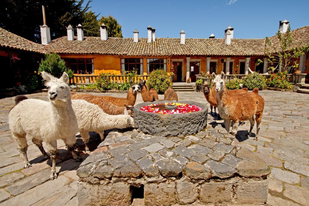 Hacienda San Agustin De Callo Lasso Eksteriør billede