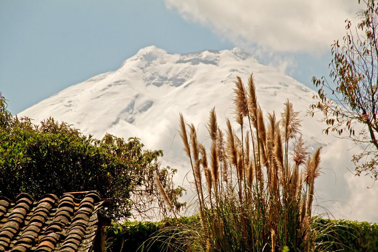 Hacienda San Agustin De Callo Lasso Eksteriør billede